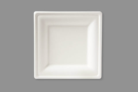Bagasse Biodegradable Plate