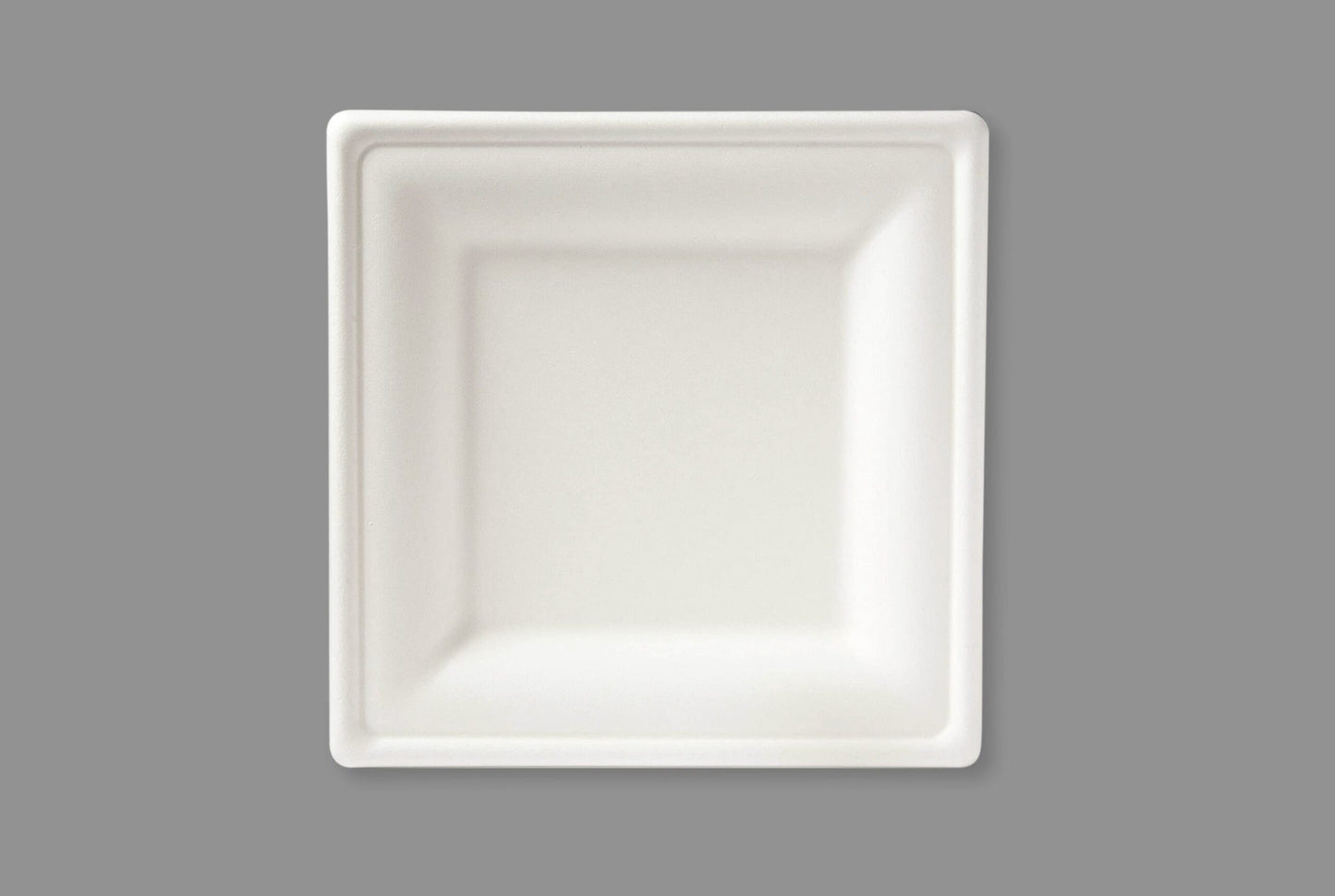 Bagasse Biodegradable Plate