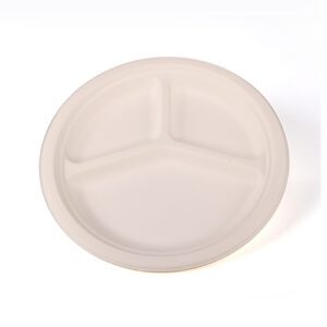 Bagasse Biodegradable Plate