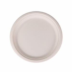 Bagasse Biodegradable Plate